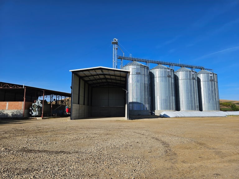 Agricultural facility with large metal grain silos, storage shed, and loading equipment on an unpaved lot under blue sky