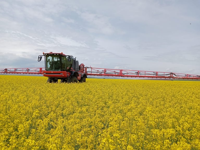 Agricultural sprayer with red boom attachment driving through a bright yellow canola field under overcast sky