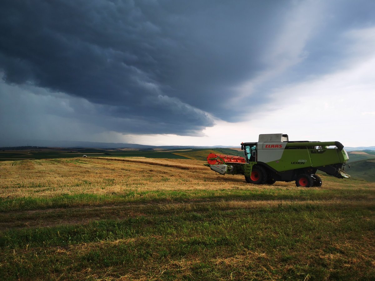 Green and red combine harvester in a vast golden grain field under dramatic stormy clouds