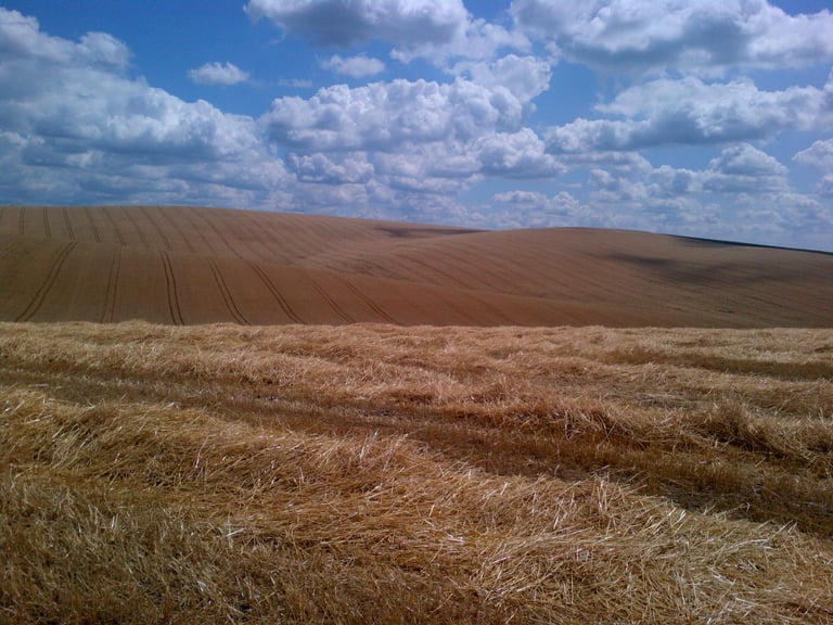 Rolling agricultural fields with plowed brown soil and harvested stubble under a blue sky with white clouds