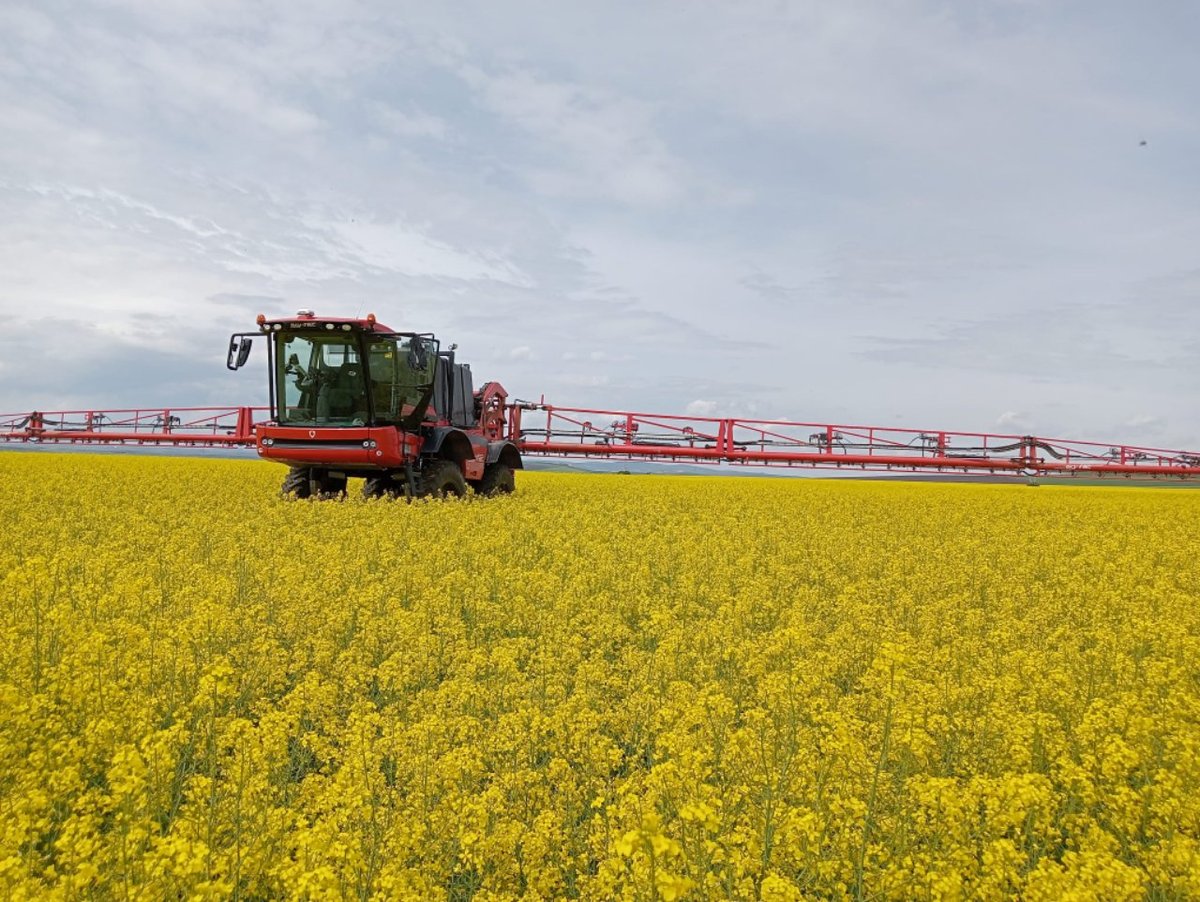 Agricultural sprayer vehicle with red boom attachment moving through a vast yellow flowering crop field under cloudy sky