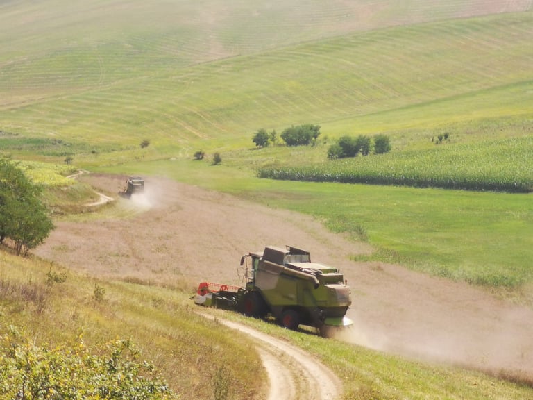 Combine harvester kicking up dust on a rural dirt road, rolling green farmland in background with scattered trees