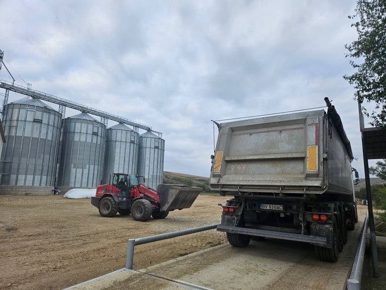 Red agricultural loader transferring grain to a black dump truck beside metal storage silos on a farm